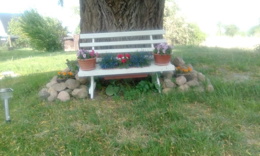 Gross Grabow Das Haus Am Teich מראה חיצוני תמונה